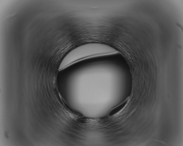 X0000094960192200711291136