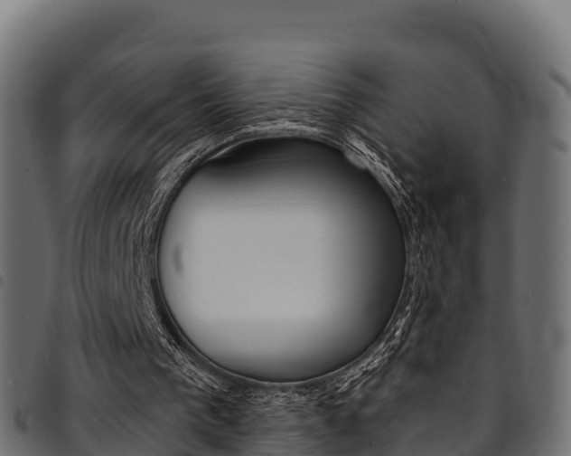 X0000094960193200711291135