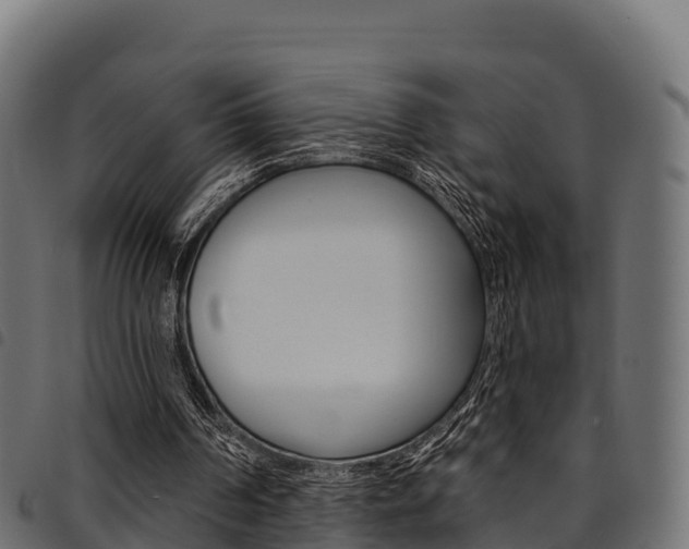 X0000094960194200711291135