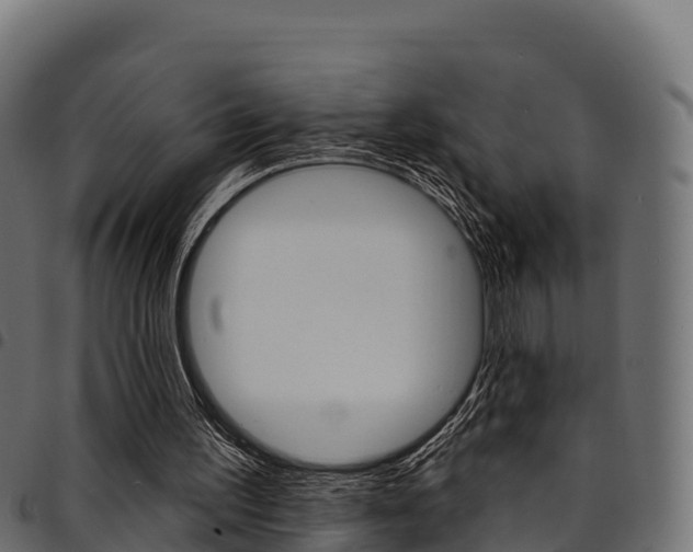 X0000094960195200711291135
