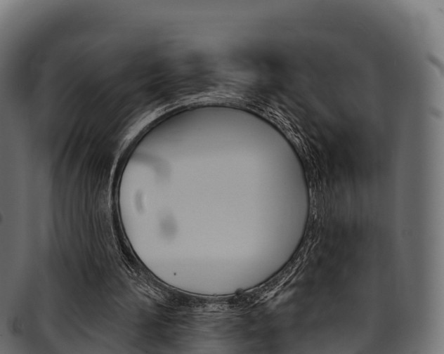 X0000094960196200711291135