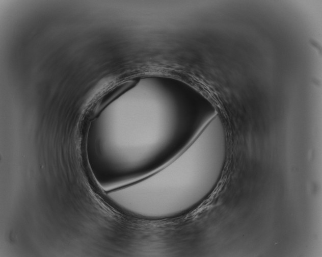 X0000094960197200711291135
