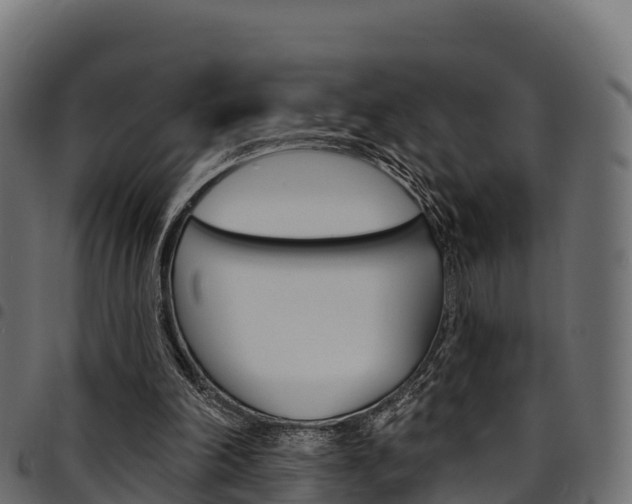 X0000094960198200711291135