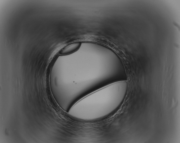 X0000094960200200711291135