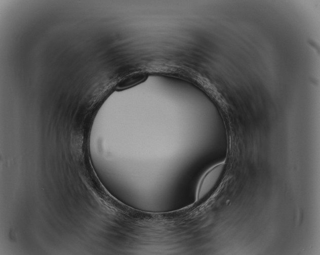 X0000094960201200711291135