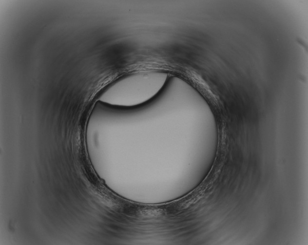 X0000094960202200711291135