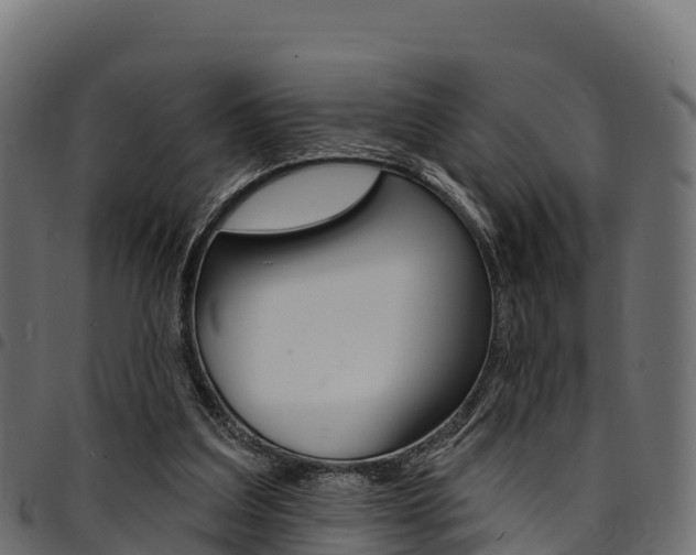X0000094960203200711291135