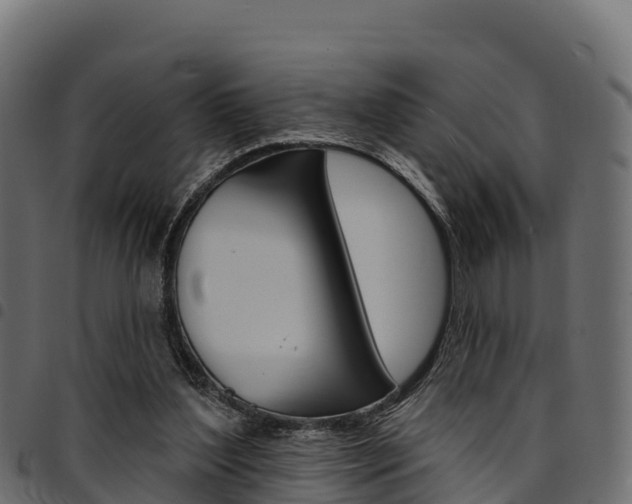 X0000094960204200711291135