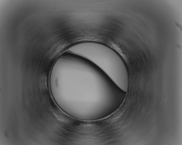 X0000094960205200711291135