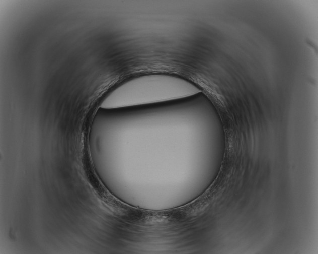 X0000094960206200711291135