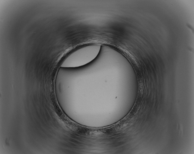 X0000094960208200711291135