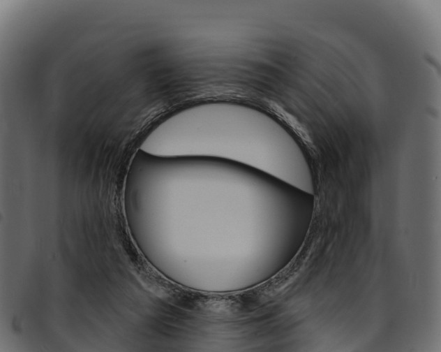 X0000094960209200711291135