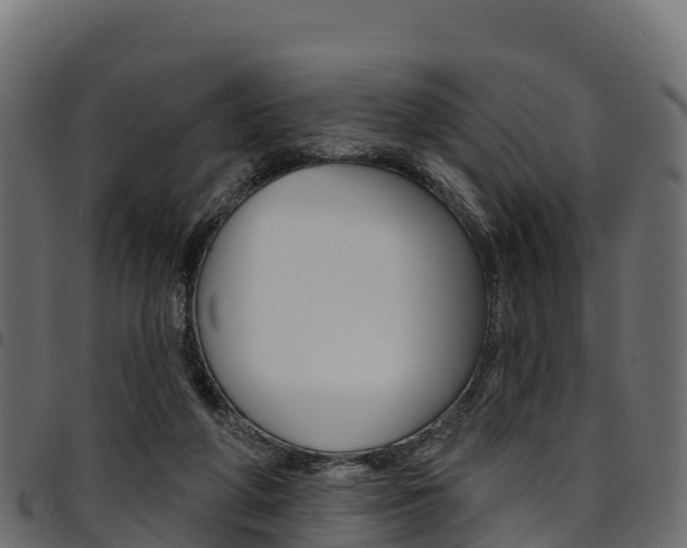 X0000094960210200711291135