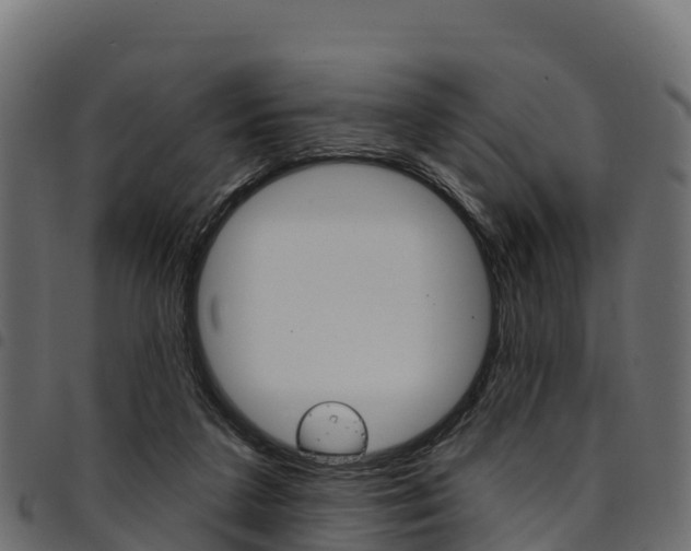 X0000094960211200711291135