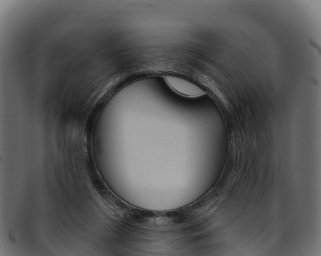 X0000094960212200711291135