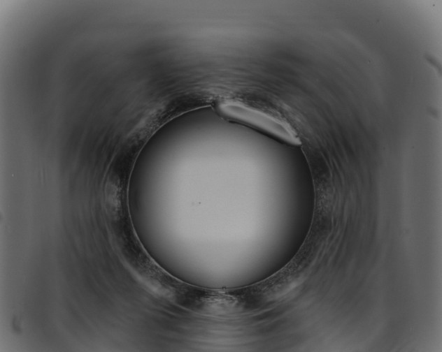 X0000094960215200711291135
