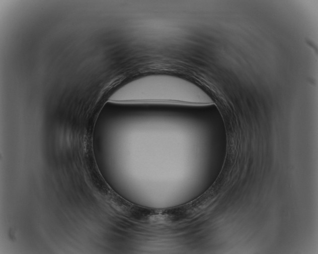 X0000094960216200711291135