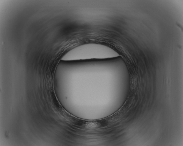 X0000094960218200711291135