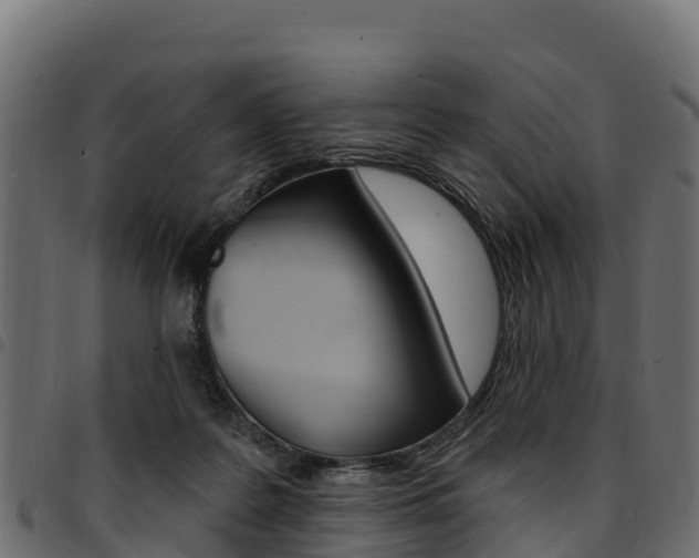 X0000094960219200711291135