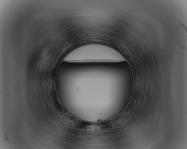 X0000094960220200711291135