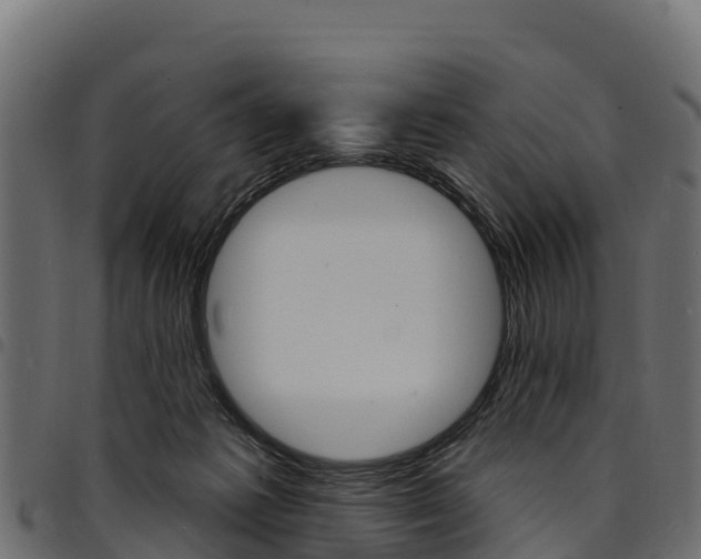 X0000094960221200711291135