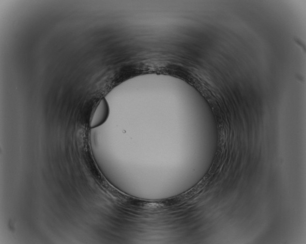 X0000094960222200711291135