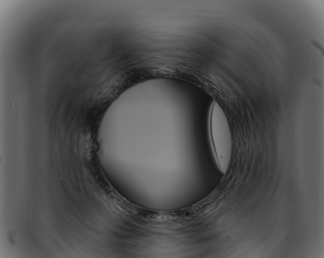 X0000094960223200711291135