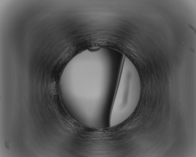 X0000094960224200711291135