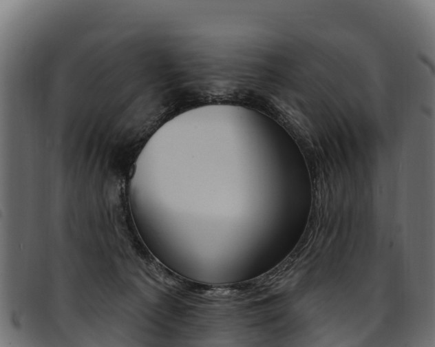 X0000094960225200711291135
