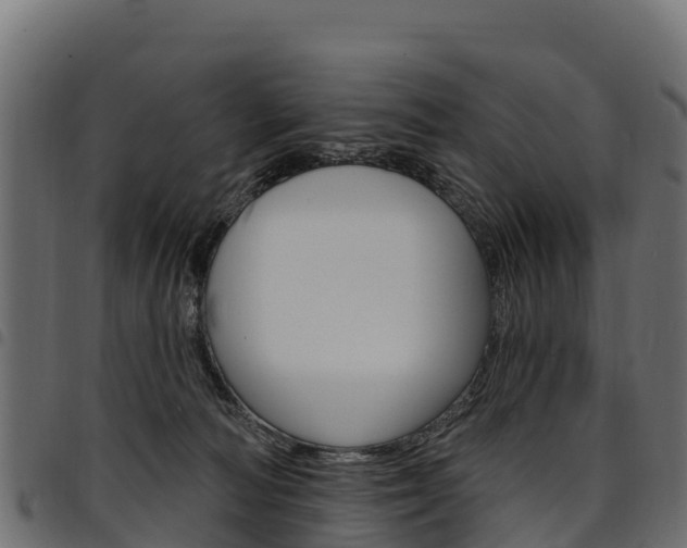 X0000094960226200711291135