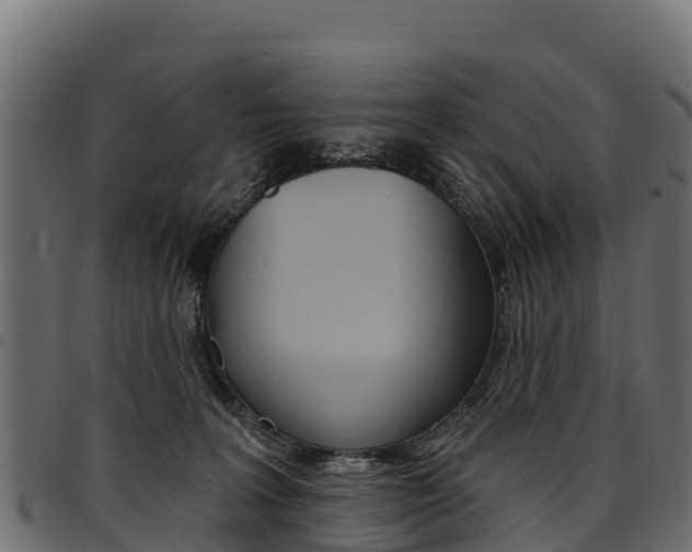 X0000094960227200711291135