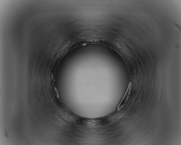 X0000094960229200711291135