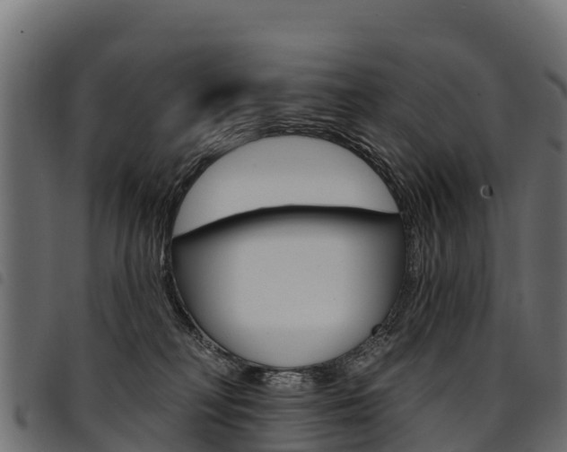 X0000094960230200711291135