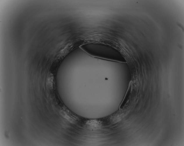 X0000094960231200711291135