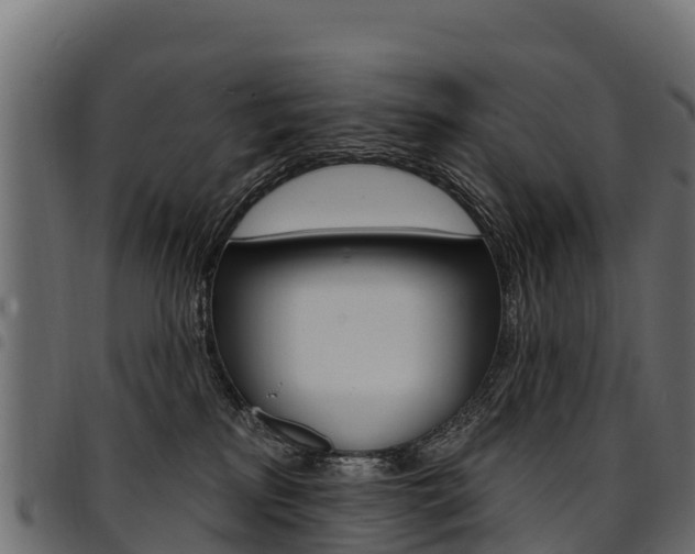 X0000094960233200711291135