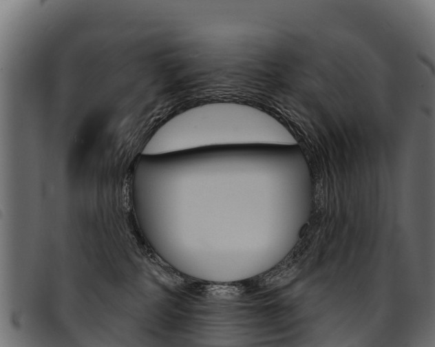 X0000094960234200711291135