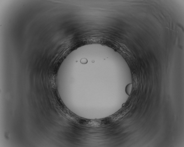 X0000094960236200711291135