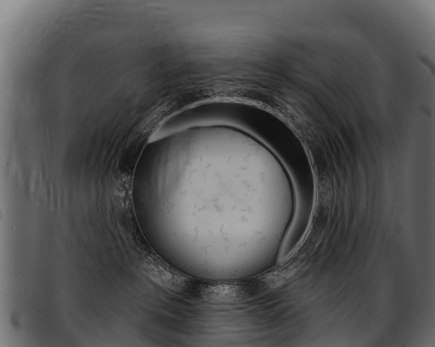 X0000094960237200711291135