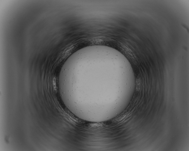 X0000094960238200711291135