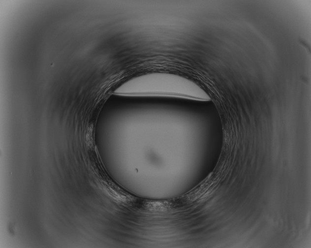 X0000094960239200711291135