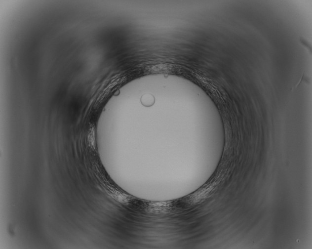 X0000094960240200711291135