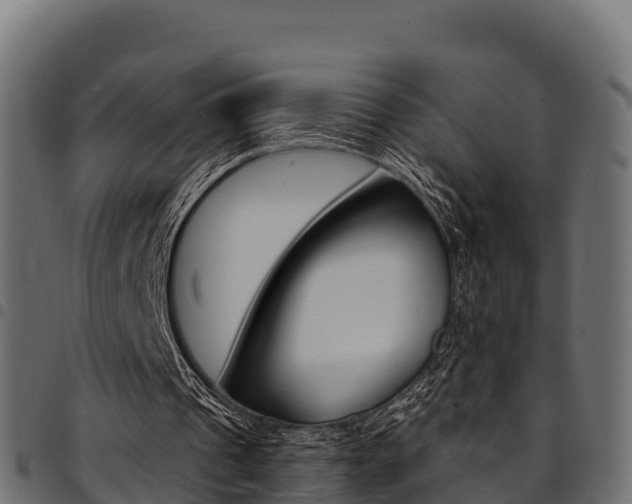 X0000094960241200711291134