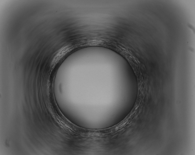 X0000094960242200711291134
