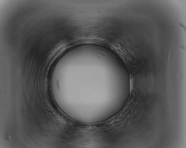 X0000094960243200711291134