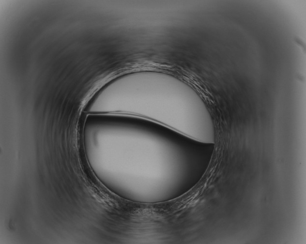 X0000094960244200711291134