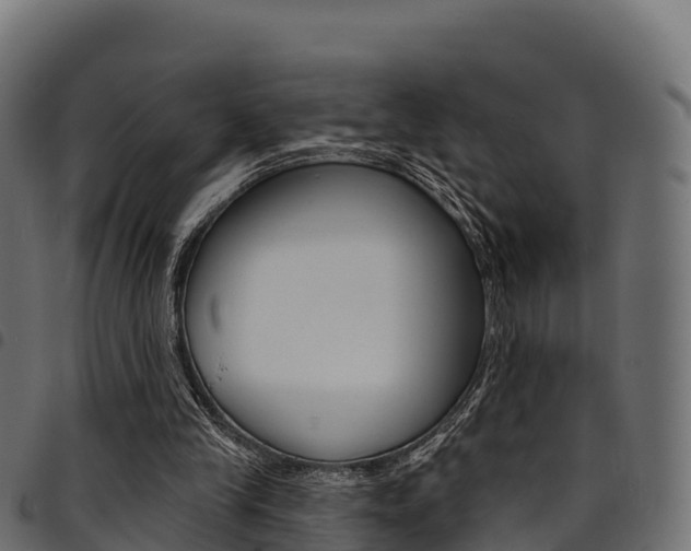 X0000094960245200711291134