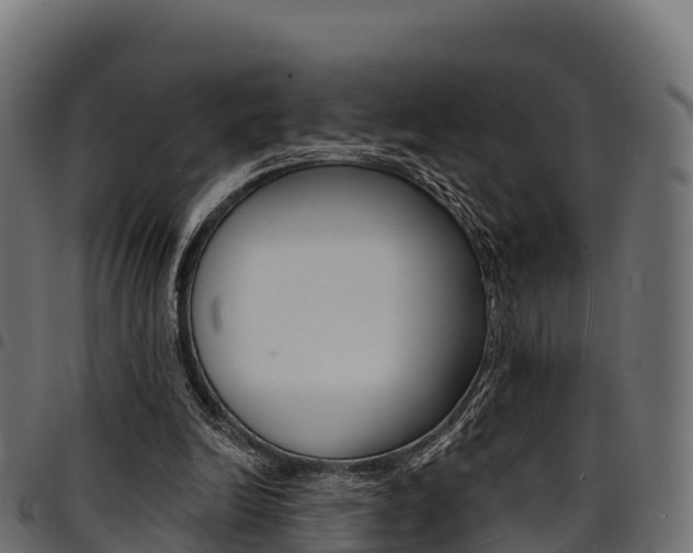 X0000094960246200711291134