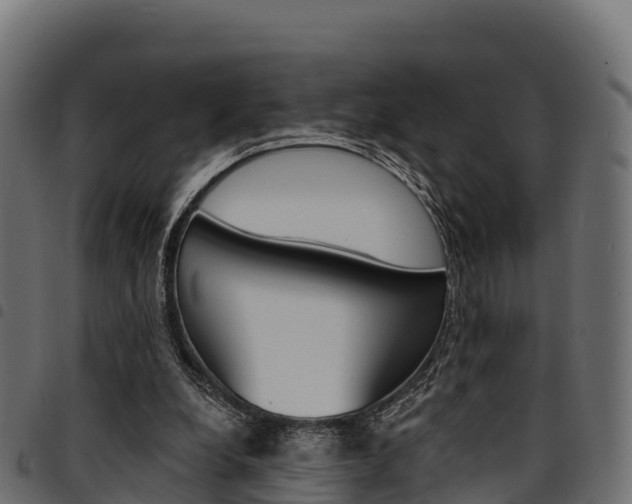 X0000094960248200711291134