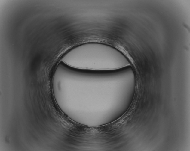 X0000094960249200711291134
