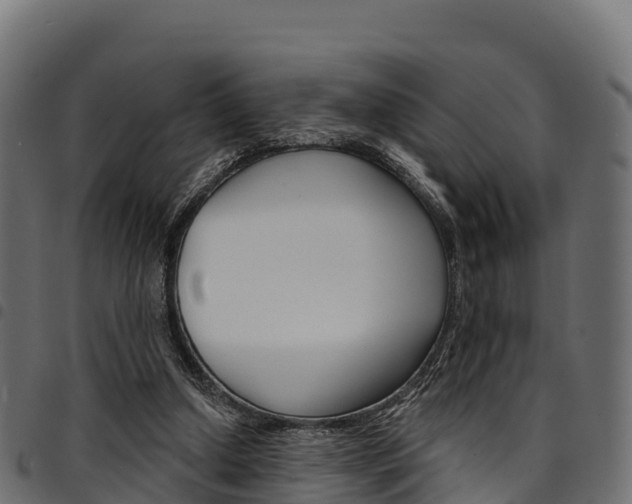 X0000094960250200711291134